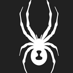 Spyder timeless down jacket